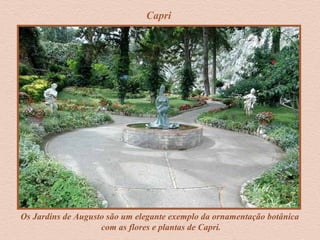 Capri
Os Jardins de Augusto são um elegante exemplo da ornamentação botânica
com as flores e plantas de Capri.
 