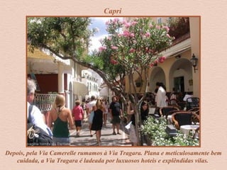 Capri
Depois, pela Via Camerelle rumamos à Via Tragara. Plana e meticulosamente bem
cuidada, a Via Tragara é ladeada por luxuosos hoteis e explêndidas vilas.
 