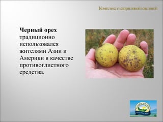 Черный орех
традиционно
использовался
жителями Азии и
Америки в качестве
противоглистного
средства.
 