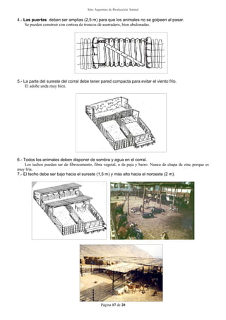 Sitio Argentino de Producción Animal
Página 17 de 20
4.- Las puertas deben ser amplias (2,5 m) para que los animales no se golpeen al pasar.
Se pueden construir con corteza de troncos de aserradero, bien abulonadas.
5.- La parte del sureste del corral debe tener pared compacta para evitar el viento frío.
El adobe anda muy bien.
6.- Todos los animales deben disponer de sombra y agua en el corral.
Los techos pueden ser de fibrocemento, fibra vegetal, o de paja y barro. Nunca de chapa de zinc porque es
muy fría.
7.- El techo debe ser bajo hacia el sureste (1,5 m) y más alto hacia el noroeste (2 m).
 