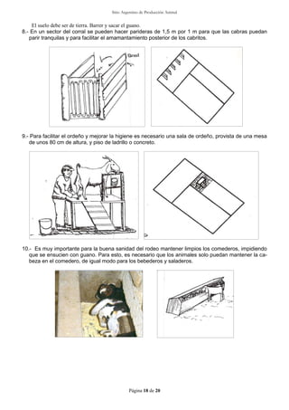 Sitio Argentino de Producción Animal
Página 18 de 20
El suelo debe ser de tierra. Barrer y sacar el guano.
8.- En un sector del corral se pueden hacer parideras de 1,5 m por 1 m para que las cabras puedan
parir tranquilas y para facilitar el amamantamiento posterior de los cabritos.
9.- Para facilitar el ordeño y mejorar la higiene es necesario una sala de ordeño, provista de una mesa
de unos 80 cm de altura, y piso de ladrillo o concreto.
10.- Es muy importante para la buena sanidad del rodeo mantener limpios los comederos, impidiendo
que se ensucien con guano. Para esto, es necesario que los animales solo puedan mantener la ca-
beza en el comedero, de igual modo para los bebederos y saladeros.
 