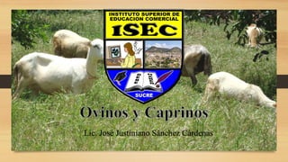 Caprinos y ovinos i   José Justiniano Sánchez Cárdenas