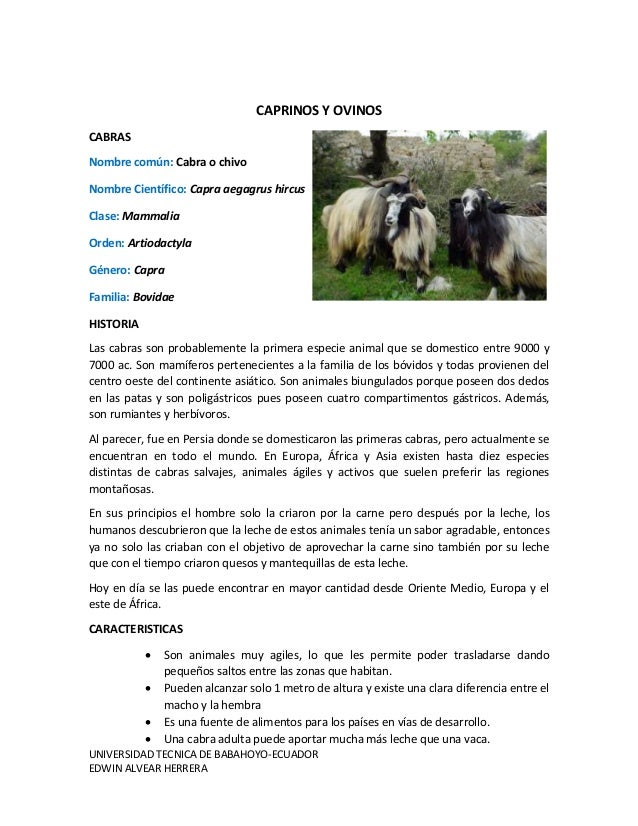 Manejo De Cabras Y Ovejas