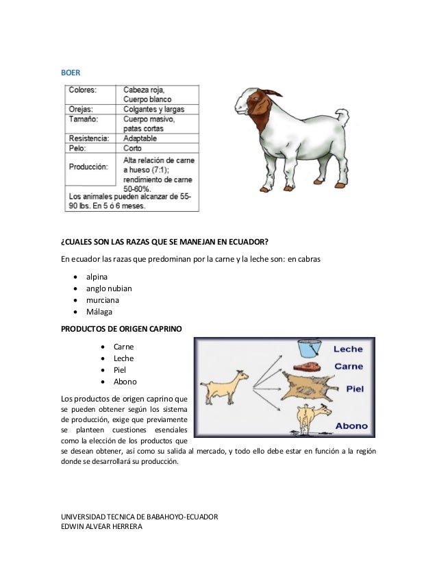 Diferencias Entre Leche De Vaca Cabra Y Oveja Diferencias Entre Leche De Vaca Cabra Y Oveja - Esta Diferencia