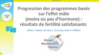 Progression des programmes basés
sur l’effet mâle
(moins ou pas d’hormone) :
résultats de fertilité satisfaisants
Bidan F. (Idele), Johnson L. (Innoval), Fatet A. (INRAE)
CAPR'INOV 2023
1
 