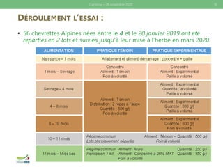 DÉROULEMENT L’ESSAI :
• 56 chevrettes Alpines nées entre le 4 et le 20 janvier 2019 ont été
reparties en 2 lots et suivies jusqu’à leur mise à l’herbe en mars 2020.
18Caprinov – 26 novembre 2020
 