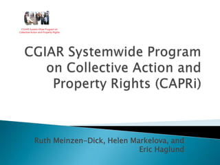CGIAR System-Wide Program on Collective Action and Property Rights CGIAR Systemwide Program on Collective Action and Property Rights (CAPRi) Ruth Meinzen-Dick, Helen Markelova, and Eric Haglund 