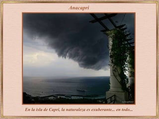 Anacapri En la isla de Capri, la naturaleza es exuberante... en todo...  