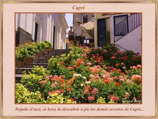 Capri Dejado el taxi, es hora de descubrir a pie los demás secretos de Capri... 
