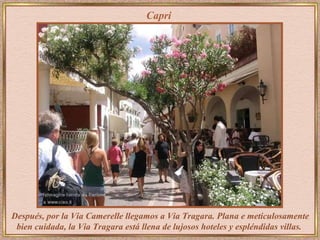 Capri Después, por la Via Camerelle llegamos a Via Tragara. Plana e meticulosamente bien cuidada, la Via Tragara está llena de lujosos hoteles y espléndidas villas.  
