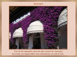 Anacapri




  Una de las elegantes casas de alta costura de Anacapri,
decorada con buganvillas, muy abundantes en toda la isla.
 