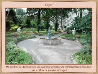 Capri Os Jardins de Augusto são um elegante exemplo da ornamentação botânica  com as flores e plantas de Capri. 