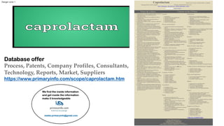 Danger zone 1
Database offer
Process, Patents, Company Profiles, Consultants,
Technology, Reports, Market, Suppliers
https://www.primaryinfo.com/scope/caprolactam.htm
 
