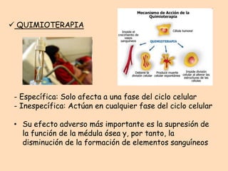  QUIMIOTERAPIA




 - Específica: Solo afecta a una fase del ciclo celular
 - Inespecífica: Actúan en cualquier fase del ciclo celular

 • Su efecto adverso más importante es la supresión de
   la función de la médula ósea y, por tanto, la
   disminución de la formación de elementos sanguíneos
 