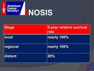 PROGNOSIS
Stage 5-year relative survival
rate
local nearly 100%
regional nearly 100%
distant 28%
 