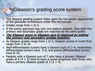 Gleason's grading score system
 The Gleason grading system relies upon the low-power appearance
of the glandular architecture under the microscope.
 Grades range from 1 to 5.
 If the entire specimen has only one pattern present, then both the
primary and secondary grade are reported as the same grade.
 The Gleason score or Gleason sum is obtained by adding
the primary and secondary grades together.
 As Gleason grades range from 1 to 5, Gleason scores or sums thus
range from 2 to 10.
 Well-differentiated tumors have a Gleason sum of 2–4, moderately
differentiated tumors have 5–6, and poorly differentiated tumors
have 8–10.
 Patients with a Gleason sum of 7 who have a primary Gleason
grade of 4 (4 + 3) tend to have a worse prognosis than those who
have a primary Gleason grade of 3 (3 + 4).
 