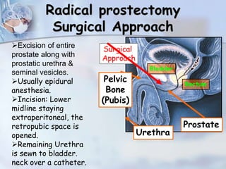 Radical prostectomy
Surgical Approach
Bladder
Prostate
Urethra
Rectum
Excision of entire
prostate along with
prostatic urethra &
seminal vesicles.
Usually epidural
anesthesia.
Incision: Lower
midline staying
extraperitoneal, the
retropubic space is
opened.
Remaining Urethra
is sewn to bladder.
neck over a catheter.
Surgical
Approach
Pelvic
Bone
(Pubis)
 