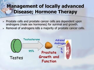 Management of locally advanced
Disease; Hormone Therapy
 Prostate cells and prostate cancer cells are dependent upon
androgens (male sex hormones) for survival and growth.
 Removal of androgens kills a majority of prostate cancer cells.
Testes
Prostate
Growth and
Function
Testosterone
95%
Adrenal
Androgen
5
%
 