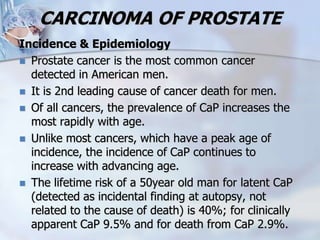 CARCINOMA OF PROSTATE
Incidence & Epidemiology
 Prostate cancer is the most common cancer
detected in American men.
 It is 2nd leading cause of cancer death for men.
 Of all cancers, the prevalence of CaP increases the
most rapidly with age.
 Unlike most cancers, which have a peak age of
incidence, the incidence of CaP continues to
increase with advancing age.
 The lifetime risk of a 50year old man for latent CaP
(detected as incidental finding at autopsy, not
related to the cause of death) is 40%; for clinically
apparent CaP 9.5% and for death from CaP 2.9%.
 