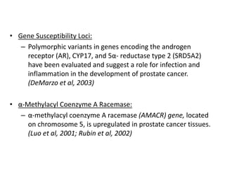 • Gene Susceptibility Loci:
– Polymorphic variants in genes encoding the androgen
receptor (AR), CYP17, and 5α- reductase type 2 (SRD5A2)
have been evaluated and suggest a role for infection and
inflammation in the development of prostate cancer.
(DeMarzo et al, 2003)
• α-Methylacyl Coenzyme A Racemase:
– α-methylacyl coenzyme A racemase (AMACR) gene, located
on chromosome 5, is upregulated in prostate cancer tissues.
(Luo et al, 2001; Rubin et al, 2002)
 