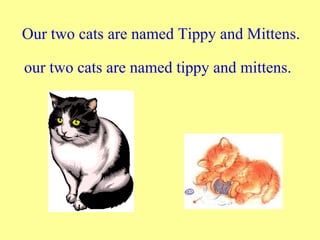 Our two cats are named Tippy and Mittens.

our two cats are named tippy and mittens.
 