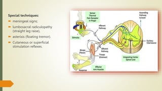 Special techniques:
 meningeal signs;
 lumbosacral radiculopathy
(straight leg raise),
 asterixis (floating tremor).
 Cutaneous or superficial
stimulation reflexes.
 