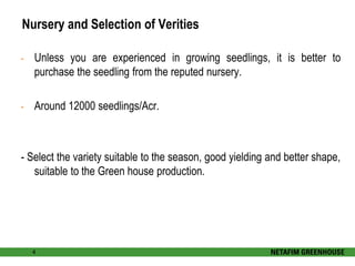 Nursery and Selection of Verities 
- Unless you are experienced in growing seedlings, it is better to 
purchase the seedling from the reputed nursery. 
- Around 12000 seedlings/Acr. 
- Select the variety suitable to the season, good yielding and better shape, 
suitable to the Green house production. 
4 
 