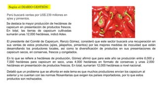 Según el DIARIO GESTIÓN: 
Perú buscará ventas por US$ 239 millones en 
ajíes y pimientos. 
Se destaca la mayor producción de hectáreas de 
capsicum en presentación de productos frescos. 
En total, las tierras de capsicum cultivadas 
sumarán unas 12,000 hectáreas, indicó Adex. 
El presidente del Comité de Capsicum, Renzo Gómez, consideró que este sector buscará una recuperación en 
sus ventas de estos productos (ajíes, jalapeños, pimientos) por las mejores medidas de inocuidad que están 
desarrollando los productores locales, así como la diversificación de productos en sus presentaciones de 
capsicum secos, en conservas, frescos y congelados. 
En lo que se refiere a hectáreas de producción, Gómez afirmó que para este año se producirán entre 6,000 y 
7,000 hectáreas para capsicum en seco, unas 4,000 hectáreas en formato de conservas y unas 2,000 
hectáreas en presentación de productos frescos. En total, sumarían 12,000 hectáreas a nivel nacional. 
Detalló que un problema que se afronta en este tema es que muchos productores envían los capsicum al 
exterior y no cuentan con las normas fitosanitarias que exigen los países importadores, por lo que estos 
productos son rechazados. 
 