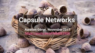 Capsule Networks
Aurélien Géron, November 2017
https://youtu.be/pPN8d0E3900
 