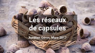 Les réseaux
de capsules
Aurélien Géron, Mars 2017
 