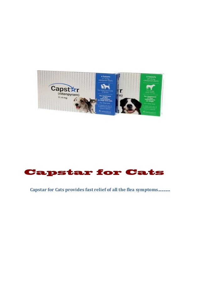Destroy Exasperating Vermin And Tick By Using Capstar For Cats