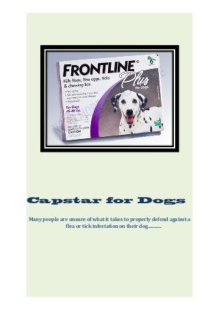Capstar for Dogs
Many people are unsure of what it takes to properly defend against a
flea or tick infestation on their dog...........
 
