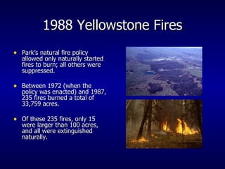 1988 Yellowstone Fires Park’s natural fire policy allowed only naturally started fires to burn; all others were suppressed. Between 1972 (when the policy was enacted) and 1987, 235 fires burned a total of 33,759 acres. Of these 235 fires, only 15 were larger than 100 acres, and all were extinguished naturally. 