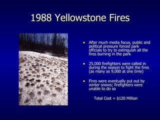 1988 Yellowstone Fires After much media focus, public and political pressure forced park officials to try to extinguish all the fires burning in the park 25,000 firefighters were called in during the season to fight the fires (as many as 9,000 at one time) Fires were eventually put out by winter snows; firefighters were unable to do so Total Cost = $120 Million  