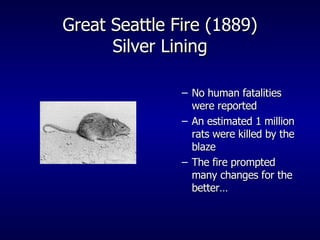 Great Seattle Fire (1889) Silver Lining No human fatalities were reported An estimated 1 million rats were killed by the blaze The fire prompted many changes for the better… 