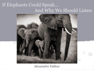 If Elephants Could Speak...
And Why We Should Listen
Alexandra Talleur
 