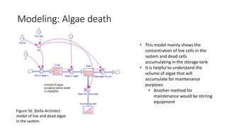 Design of an Algae Filtration Facility | PPTX