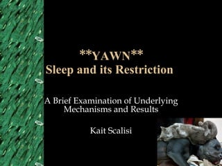**YAWN** Sleep and its Restriction  A Brief Examination of Underlying Mechanisms and Results Kait Scalisi 