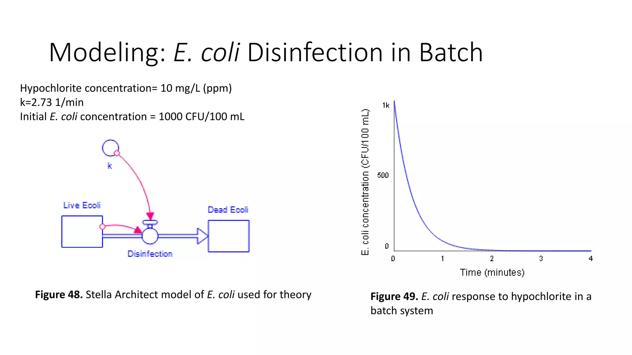 Modeling: E. coli Disinfection in Batch
Hypochlorite concentration= 10 mg/L (ppm)
k=2.73 1/min
Initial E. coli concentration = 1000 CFU/100 mL
Figure 48. Stella Architect model of E. coli used for theory Figure 49. E. coli response to hypochlorite in a
batch system
 
