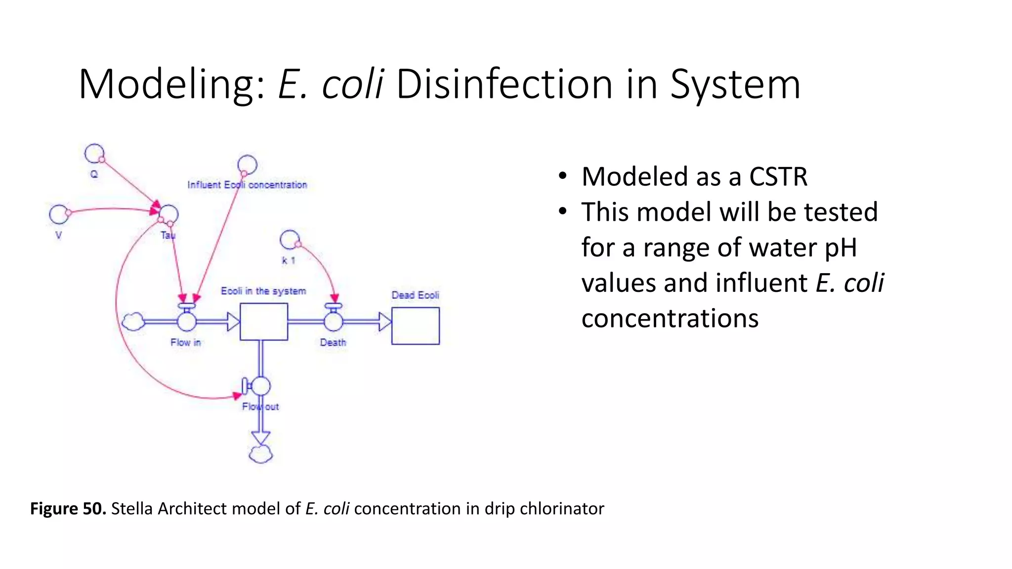 Modeling: E. coli Disinfection in System
Figure 50. Stella Architect model of E. coli concentration in drip chlorinator
• Modeled as a CSTR
• This model will be tested
for a range of water pH
values and influent E. coli
concentrations
 