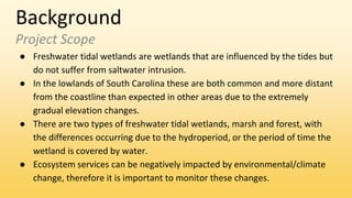 Background
Project Scope
● Freshwater tidal wetlands are wetlands that are influenced by the tides but
do not suffer from saltwater intrusion.
● In the lowlands of South Carolina these are both common and more distant
from the coastline than expected in other areas due to the extremely
gradual elevation changes.
● There are two types of freshwater tidal wetlands, marsh and forest, with
the differences occurring due to the hydroperiod, or the period of time the
wetland is covered by water.
● Ecosystem services can be negatively impacted by environmental/climate
change, therefore it is important to monitor these changes.
 