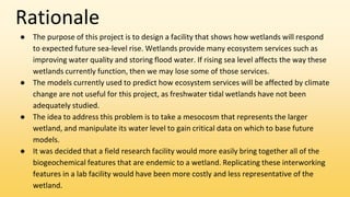 Rationale
● The purpose of this project is to design a facility that shows how wetlands will respond
to expected future sea-level rise. Wetlands provide many ecosystem services such as
improving water quality and storing flood water. If rising sea level affects the way these
wetlands currently function, then we may lose some of those services.
● The models currently used to predict how ecosystem services will be affected by climate
change are not useful for this project, as freshwater tidal wetlands have not been
adequately studied.
● The idea to address this problem is to take a mesocosm that represents the larger
wetland, and manipulate its water level to gain critical data on which to base future
models.
● It was decided that a field research facility would more easily bring together all of the
biogeochemical features that are endemic to a wetland. Replicating these interworking
features in a lab facility would have been more costly and less representative of the
wetland.
 