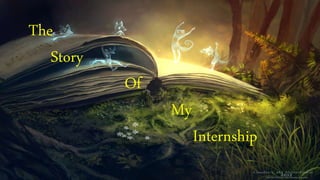 The
Story
Of
My
Internship
 