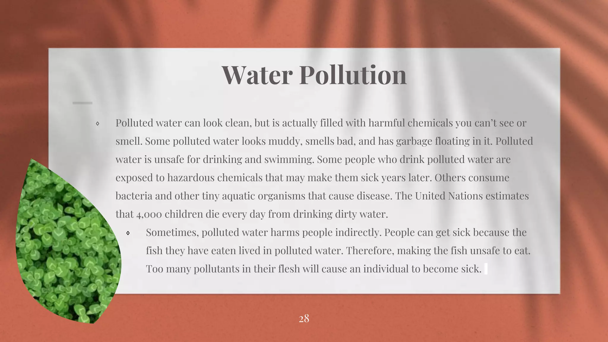 Water Pollution
⋄ Polluted water can look clean, but is actually filled with harmful chemicals you can’t see or
smell. Some polluted water looks muddy, smells bad, and has garbage floating in it. Polluted
water is unsafe for drinking and swimming. Some people who drink polluted water are
exposed to hazardous chemicals that may make them sick years later. Others consume
bacteria and other tiny aquatic organisms that cause disease. The United Nations estimates
that 4,000 children die every day from drinking dirty water.
⋄ Sometimes, polluted water harms people indirectly. People can get sick because the
fish they have eaten lived in polluted water. Therefore, making the fish unsafe to eat.
Too many pollutants in their flesh will cause an individual to become sick.
28
 
