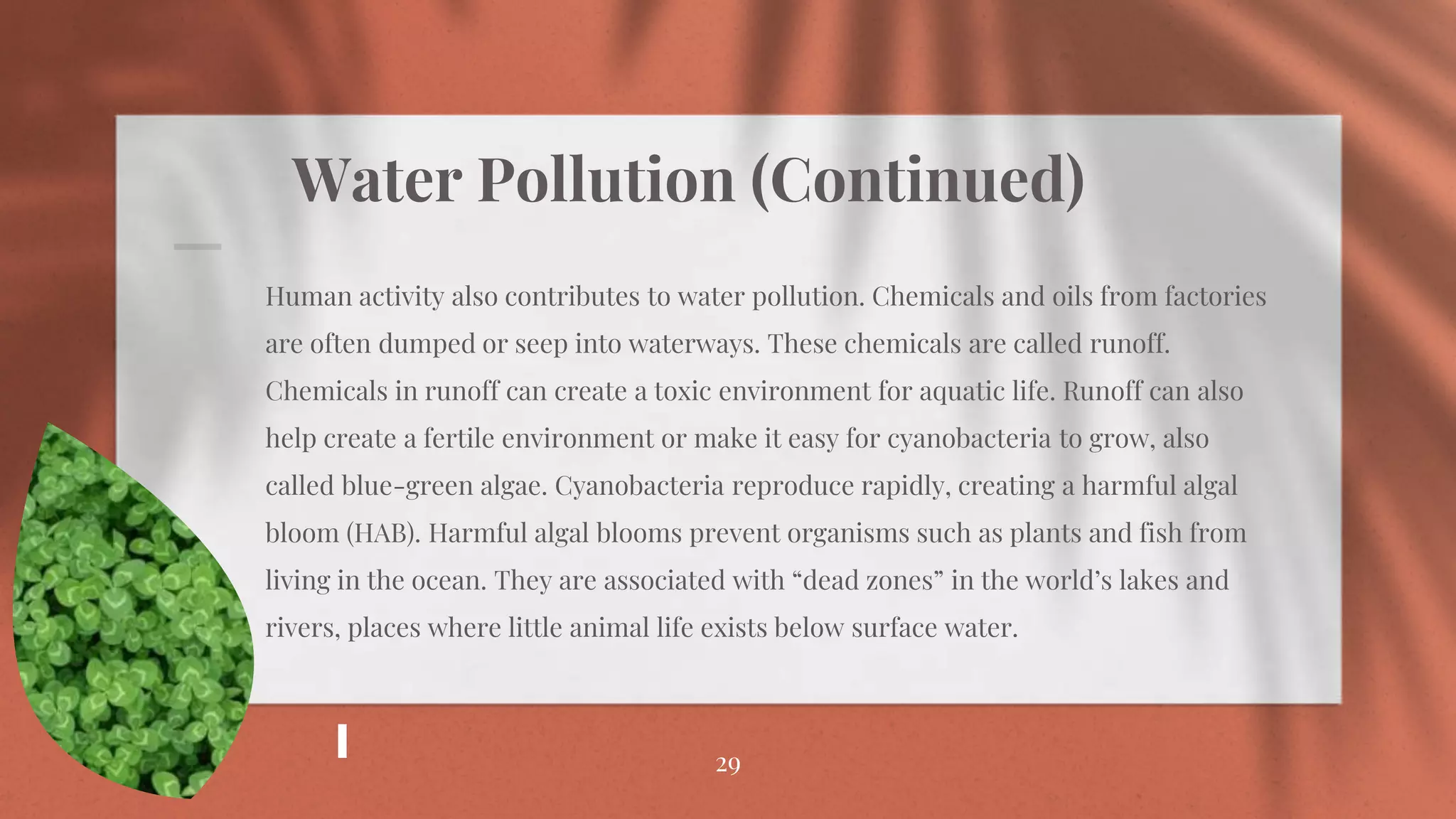 Water Pollution (Continued)
Human activity also contributes to water pollution. Chemicals and oils from factories
are often dumped or seep into waterways. These chemicals are called runoff.
Chemicals in runoff can create a toxic environment for aquatic life. Runoff can also
help create a fertile environment or make it easy for cyanobacteria to grow, also
called blue-green algae. Cyanobacteria reproduce rapidly, creating a harmful algal
bloom (HAB). Harmful algal blooms prevent organisms such as plants and fish from
living in the ocean. They are associated with “dead zones” in the world’s lakes and
rivers, places where little animal life exists below surface water.
29
 