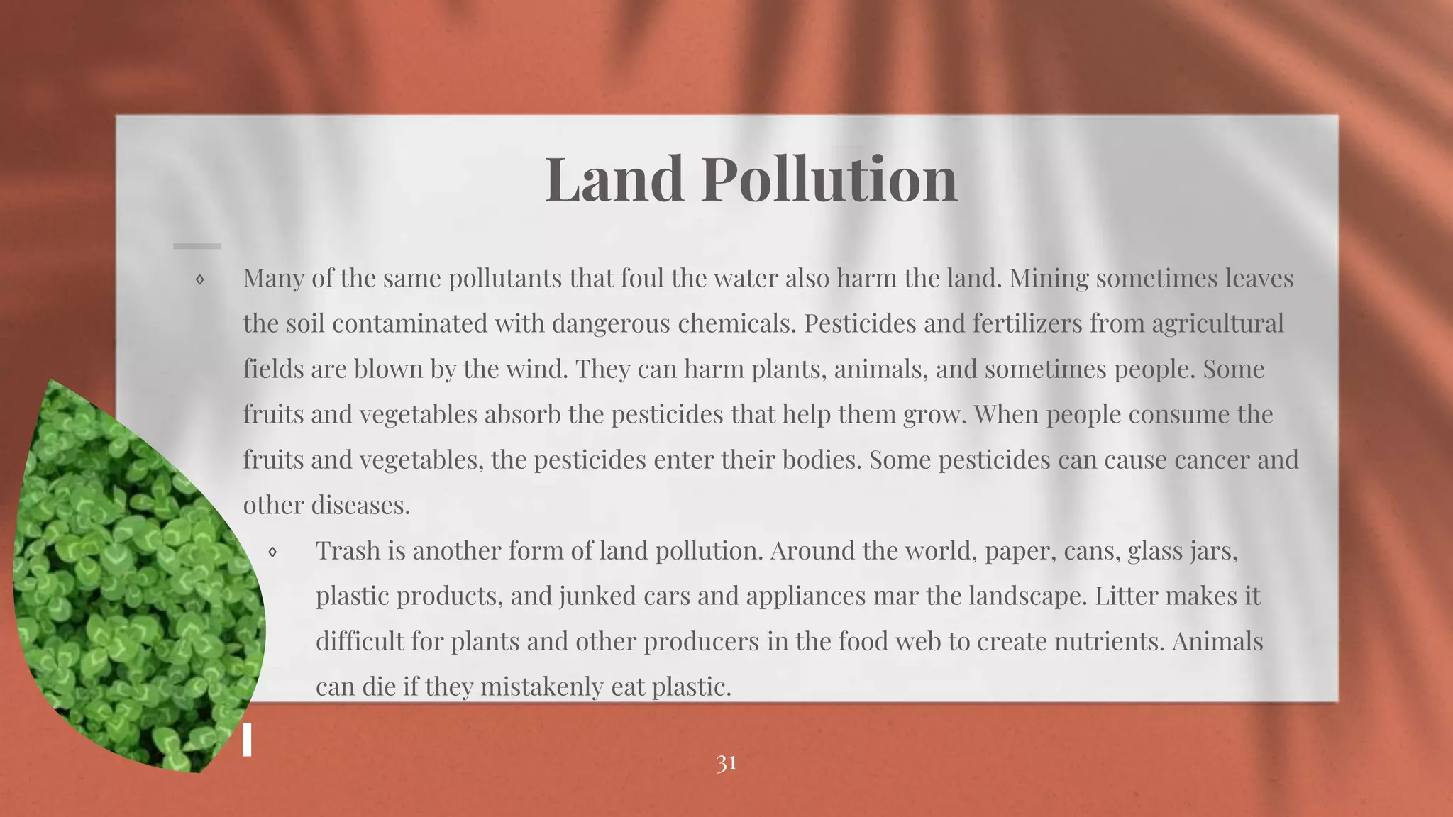 Land Pollution
⋄ Many of the same pollutants that foul the water also harm the land. Mining sometimes leaves
the soil contaminated with dangerous chemicals. Pesticides and fertilizers from agricultural
fields are blown by the wind. They can harm plants, animals, and sometimes people. Some
fruits and vegetables absorb the pesticides that help them grow. When people consume the
fruits and vegetables, the pesticides enter their bodies. Some pesticides can cause cancer and
other diseases.
⋄ Trash is another form of land pollution. Around the world, paper, cans, glass jars,
plastic products, and junked cars and appliances mar the landscape. Litter makes it
difficult for plants and other producers in the food web to create nutrients. Animals
can die if they mistakenly eat plastic.
31
 