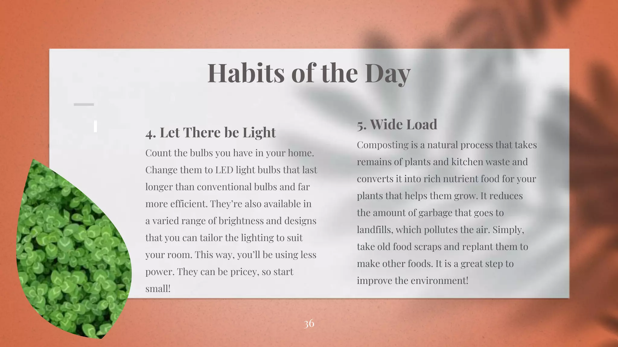 Habits of the Day
36
4. Let There be Light
Count the bulbs you have in your home.
Change them to LED light bulbs that last
longer than conventional bulbs and far
more efficient. They’re also available in
a varied range of brightness and designs
that you can tailor the lighting to suit
your room. This way, you’ll be using less
power. They can be pricey, so start
small!
5. Wide Load
Composting is a natural process that takes
remains of plants and kitchen waste and
converts it into rich nutrient food for your
plants that helps them grow. It reduces
the amount of garbage that goes to
landfills, which pollutes the air. Simply,
take old food scraps and replant them to
make other foods. It is a great step to
improve the environment!
 