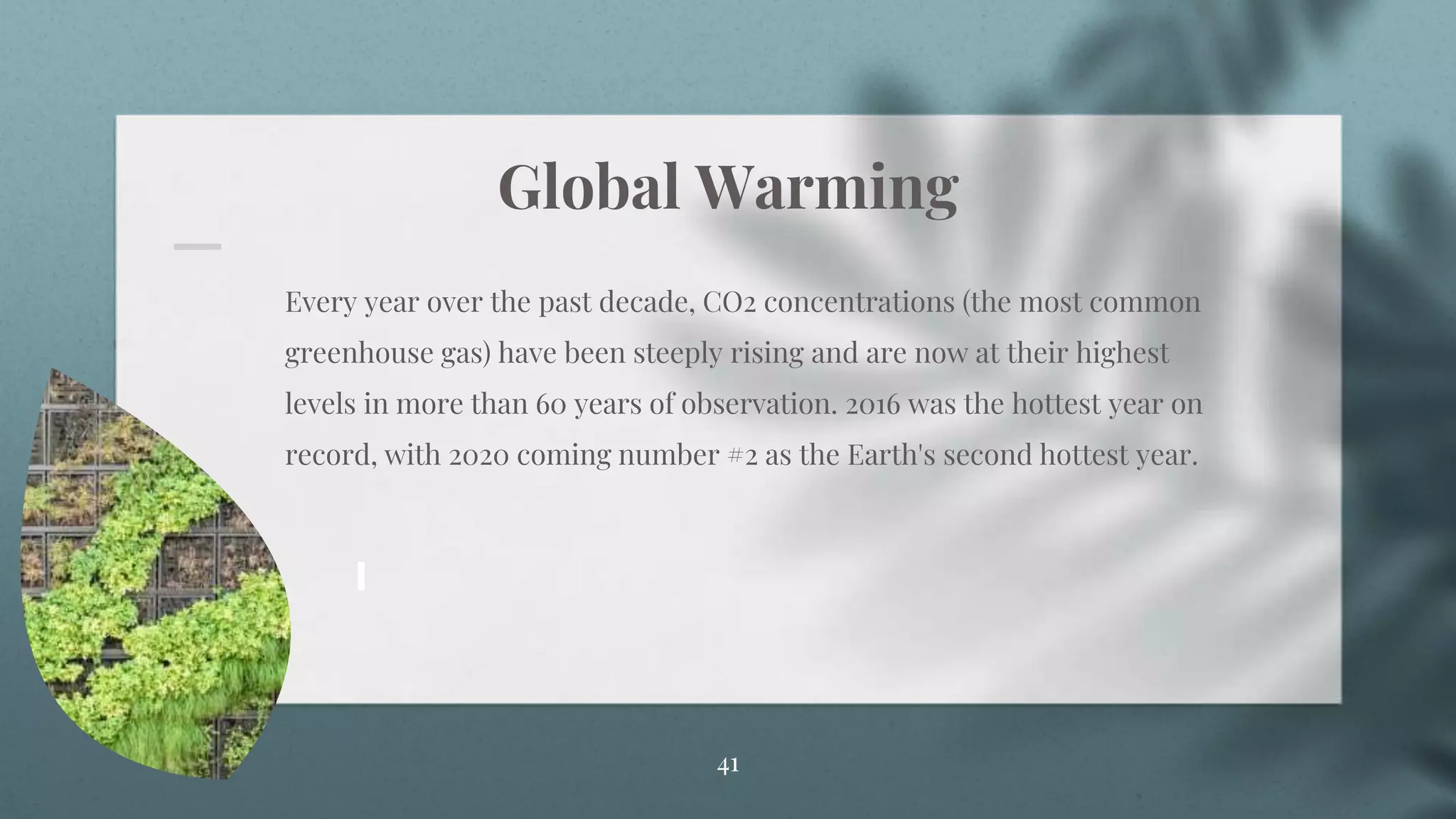 Global Warming
Every year over the past decade, CO2 concentrations (the most common
greenhouse gas) have been steeply rising and are now at their highest
levels in more than 60 years of observation. 2016 was the hottest year on
record, with 2020 coming number #2 as the Earth's second hottest year.
41
 