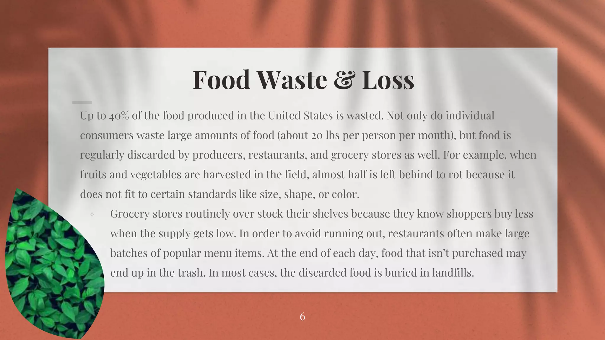 Food Waste & Loss
⋄ Up to 40% of the food produced in the United States is wasted. Not only do individual
consumers waste large amounts of food (about 20 lbs per person per month), but food is
regularly discarded by producers, restaurants, and grocery stores as well. For example, when
fruits and vegetables are harvested in the field, almost half is left behind to rot because it
does not fit to certain standards like size, shape, or color.
⋄ Grocery stores routinely over stock their shelves because they know shoppers buy less
when the supply gets low. In order to avoid running out, restaurants often make large
batches of popular menu items. At the end of each day, food that isn’t purchased may
end up in the trash. In most cases, the discarded food is buried in landfills.
6
 