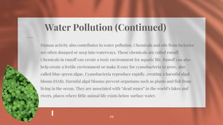 Water Pollution (Continued)
Human activity also contributes to water pollution. Chemicals and oils from factories
are often dumped or seep into waterways. These chemicals are called runoff.
Chemicals in runoff can create a toxic environment for aquatic life. Runoff can also
help create a fertile environment or make it easy for cyanobacteria to grow, also
called blue-green algae. Cyanobacteria reproduce rapidly, creating a harmful algal
bloom (HAB). Harmful algal blooms prevent organisms such as plants and fish from
living in the ocean. They are associated with “dead zones” in the world’s lakes and
rivers, places where little animal life exists below surface water.
29
 